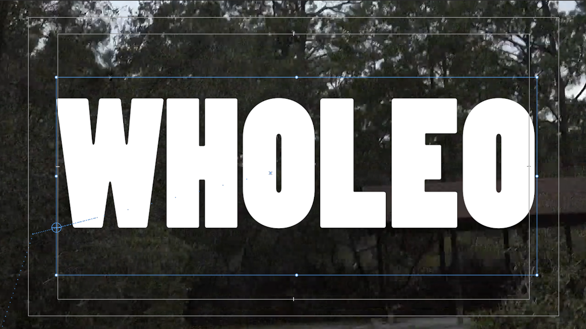 textOverVideo2019-04-27 at 4.20.37 PM.png